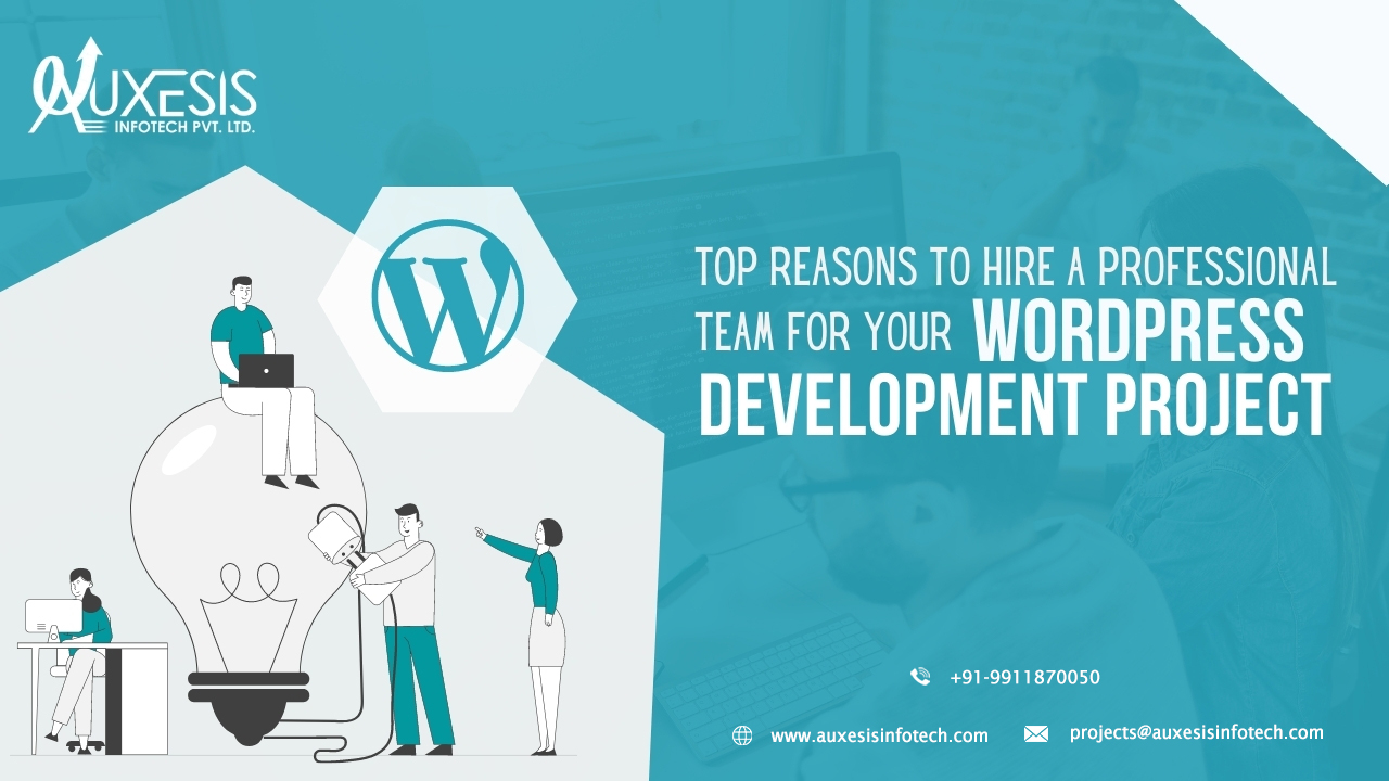 Top Reasons to Hire a Professional Team For Your WordPress Development Project