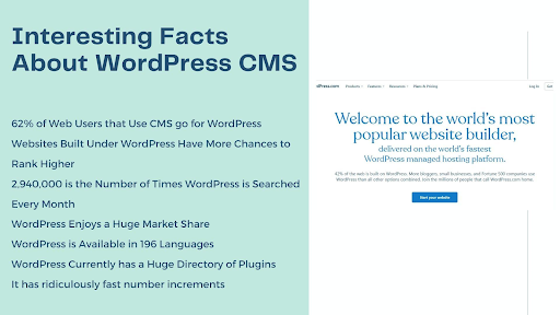 A Few Interesting Facts About WordPress as CMS