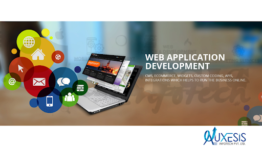 When to Go For Web App Development over a Website?
