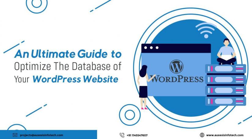 An Ultimate Guide to Optimize The Database of Your WordPress Website