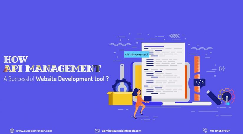API Management (Application Program Interface)