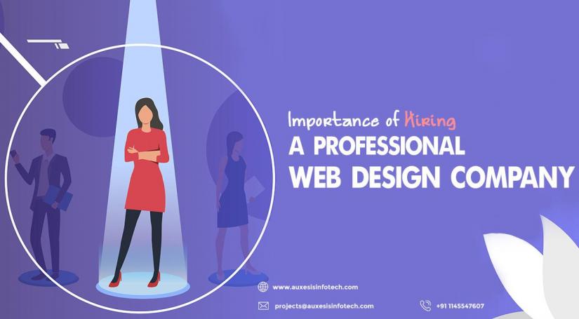 What Does a Professional Web Design Agency Brings to the Table?