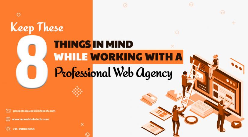Keep These 8 Things in Mind While Working With a Professional Web Agency