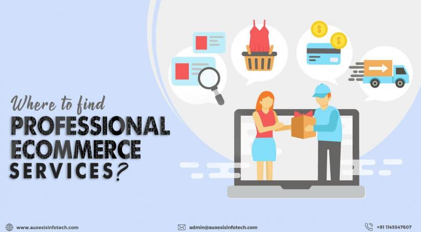 Professional-E-commerce-Services