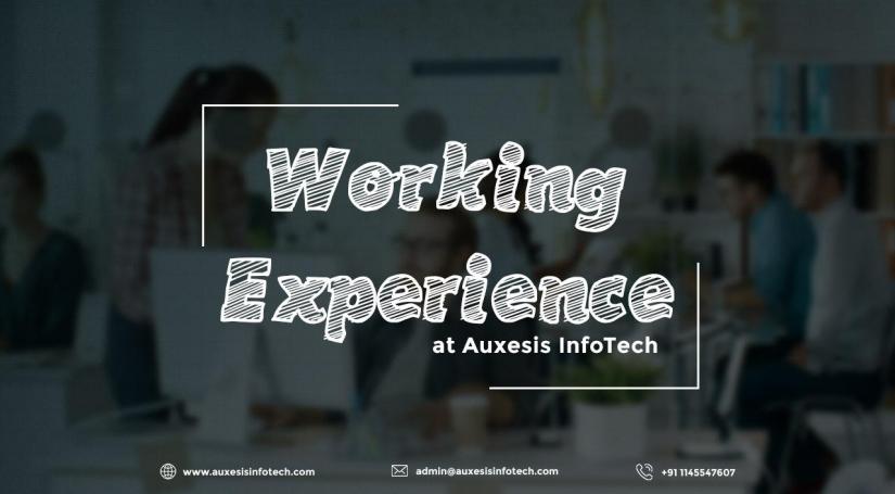 Working-experience-at-Auxesis-InfoTech