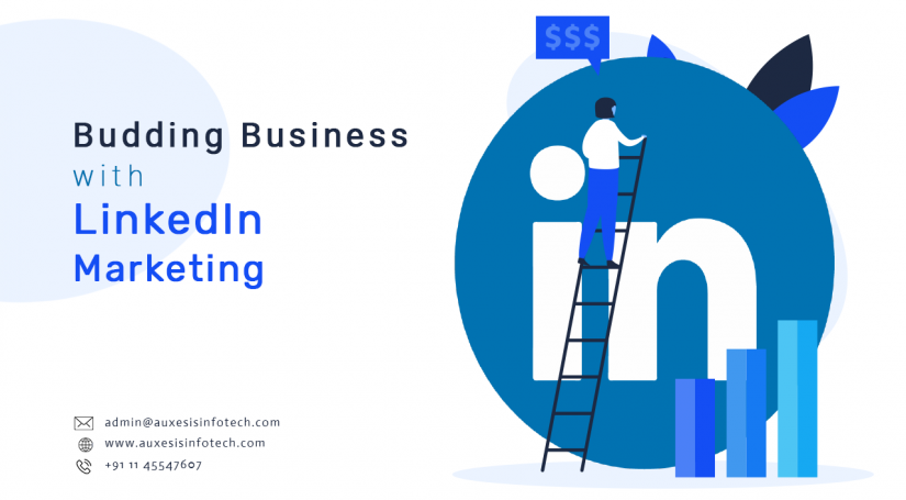 Budding Business with LinkedIn Marketing