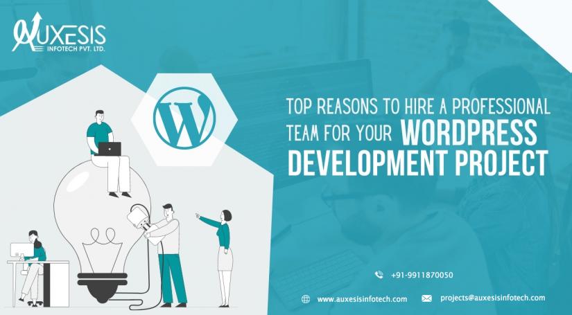 Top Reasons to Hire a Professional Team For Your WordPress Development Project
